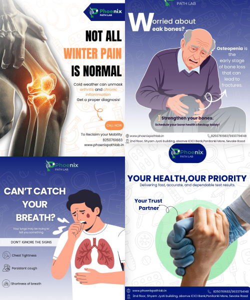 Phoenix Lab Pvt Ltd SMM Project